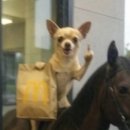 레버리(Reverie) 이미지