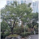 오투 | 군산수송동부동산 군산 수송 오투 부동산 후기