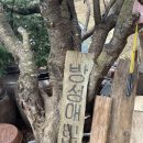 사을기 화장실 | 방성애산장 :: 강원도 여행 :: 정선 여행 :: 정선 숙소 추천 :: 임계 숙소 추천 :: 촌캉스 :: 강원도...
