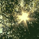 지민농장 이미지