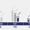 포러스트
