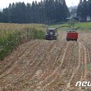 신광축산 이미지