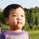 십중팔구