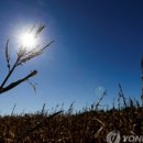 대림제지식당