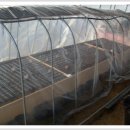 조성농장 이미지