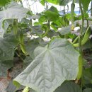 성운농장 이미지