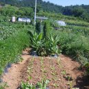 해도농장 이미지