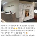 위너휘트니스 이미지