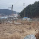 포도송이풀빌라 | 거창 키즈풀빌라 독채펜션, 사과하나 펜션