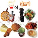 [음식칼로리] 하루 권장 칼로리 &amp; 음식 칼로리 이미지