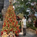 분당마중한의원 | 24.09-25.01