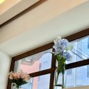 오스테리아 채채 | 신설동 오스테리아채채 갓성비 파스타 내돈내산 후기