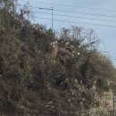 청주내미 이미지