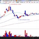 [ 누리텔레콤-증권정보채널] 2009년 8월7일 누리텔레콤(040160) 분석 ,투자전략 이미지