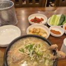 오이식탁 | 부천 맛집 삼계탕 오이삼계탕 한방녹두삼계탕 후기