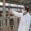 크로바농장 이미지