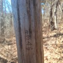 썬크루즈삼거리옆 - 좌 | [공지] 20251209오후 금정산 백내장수술후 첫 몸점검산행