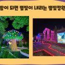 아이와 여행하기 좋은 청도 프로방스 감성여행