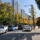 온곡어린이공원 | [노원] 경치가 예쁜 등린이 코스 수락산 귀임봉 🍁 수락산 무장애숲길에서 시작하는 수락산 보루 등산 코스