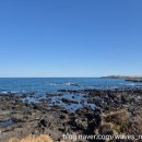 숲고을농장 | 「먹고, 걷고, 배우다｜제주 연수 3박4일 일정 총정리 (식당·체험·숙소까지)」