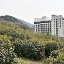 낯선커피