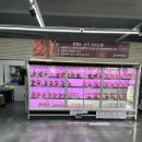 영지원 명가 이미지