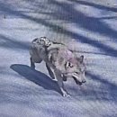 대전오월드 이미지