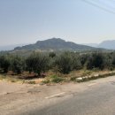 야벳농장 이미지