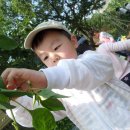 시후농장 이미지