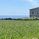 낭낭한시간 이미지