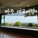 [ 태교여행 / Jeju day 4 ] 영화 건축학개론 서연의 집, 이중섭 생가, 이중섭 미술관, 이중섭거리...