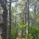 상록수역 2번출구 이미지