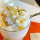 망고파인 이미지