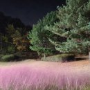 [용인 골프장] 한원CC에 다녀온 늦은 후기!
