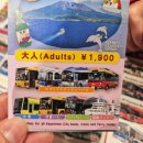 세계명품세탁소 | 여자 혼자 떠나기 좋은 일본 소도시, 가고시마(2)