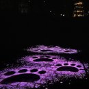 사명대사길 | 오삼아지트 /(김천 사명대사 공원 미디어 아트)