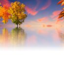 호수가 풍경소리 이미지