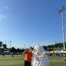 [6월 러닝결산/대회후기] 부상과 이직 속 200km 사수! & 양평마라톤 10km 여자 4위 입상 코칭 후기 🏆