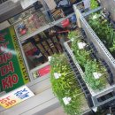 제일종묘사 이미지