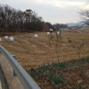 양도면-4 이미지