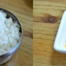 소나무집 이미지