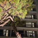 (주)파라다이스호텔부산신관수영장(실외) | [부산] 파라다이스 호텔 부산, 수영장 씨메르 스파 가격 시간 이용방법 (+ 헬스장) 총정리 후기!