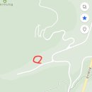 연화산유원지 | 2025년 여름휴가-태백