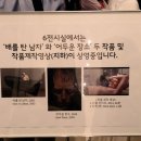 론 뮤익 전시회 내돈내산 후기