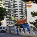 꽃대나리로 이미지