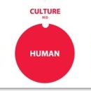 CW-0501-01 이미지