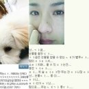 채연 이미지