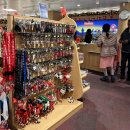 스위스랜드 이미지