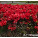 (주)하늘메디칼 이미지