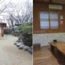 시골오리 이미지